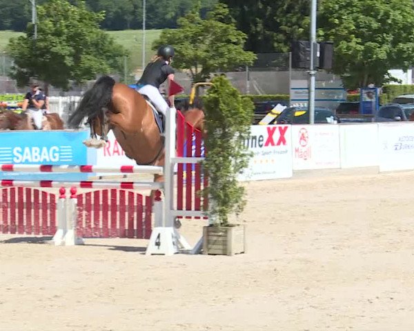 Reitturnier Balsthal 2019