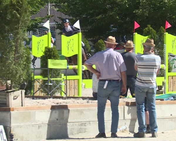 Reitturnier Balsthal 2019