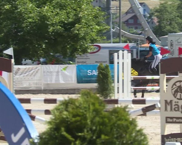 Reitturnier Balsthal 2019