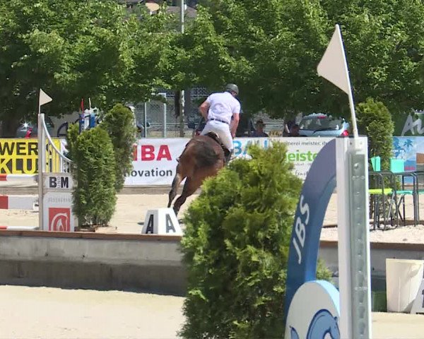 Reitturnier Balsthal 2019