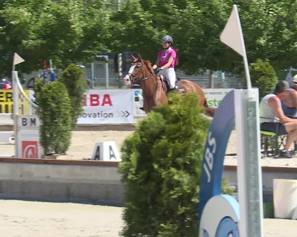Reitturnier Balsthal 2019
