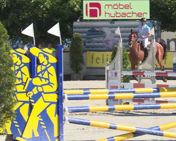 Reitturnier Balsthal 2019