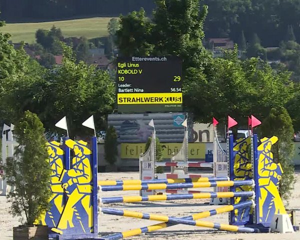 Reitturnier Balsthal 2019
