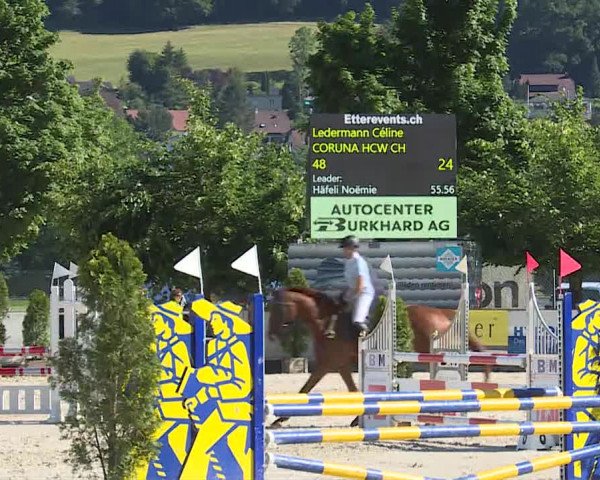 Reitturnier Balsthal 2019