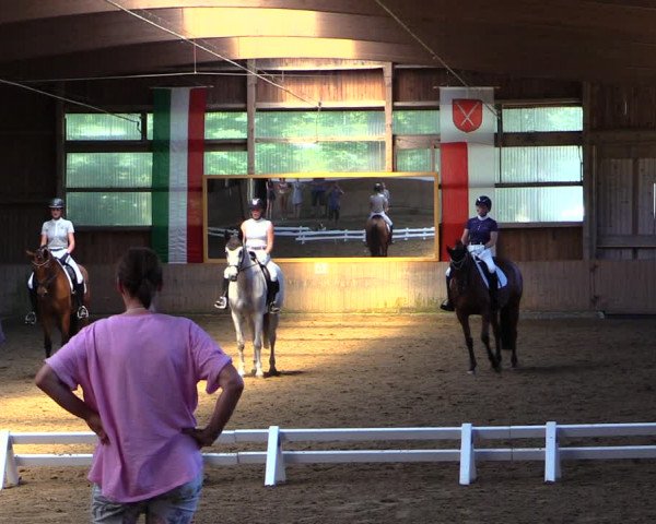 Reitturnier Schwerte-Gut Kückshausen 2019