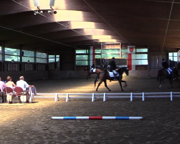 Reitturnier Schwerte-Gut Kückshausen 2019