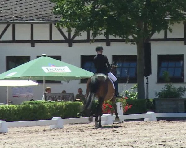 Reitturnier Kronberg /Schafhof 2019