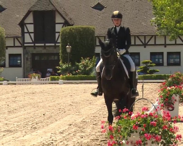 Reitturnier Kronberg /Schafhof 2019