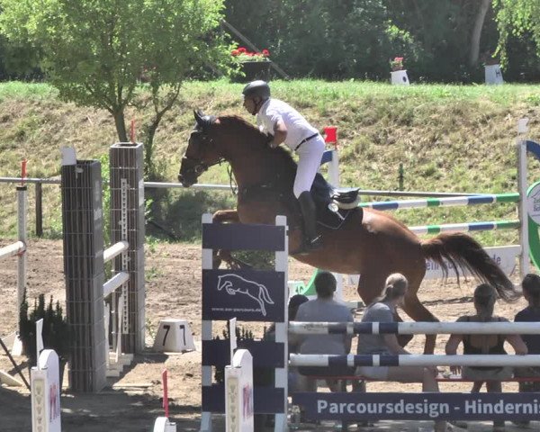 Reitturnier Wiesloch 2019
