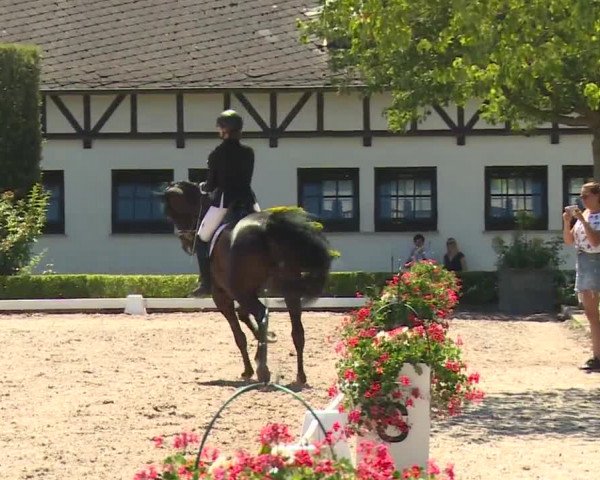 Reitturnier Kronberg /Schafhof 2019