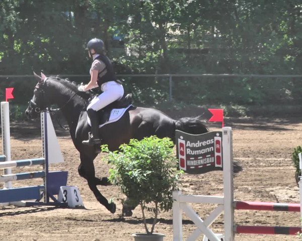 Reitturnier Wiesloch 2019
