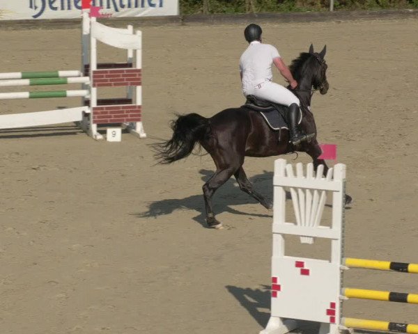 Reitturnier Leingarten 2021