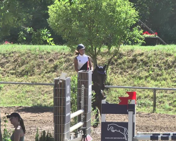 Reitturnier Wiesloch 2019