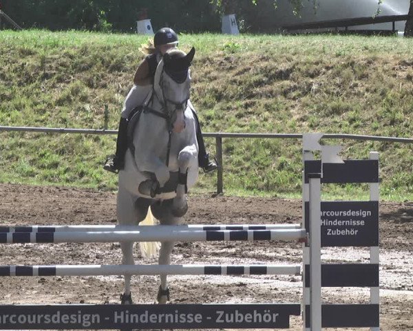 Reitturnier Wiesloch 2019