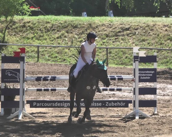 Reitturnier Wiesloch 2019