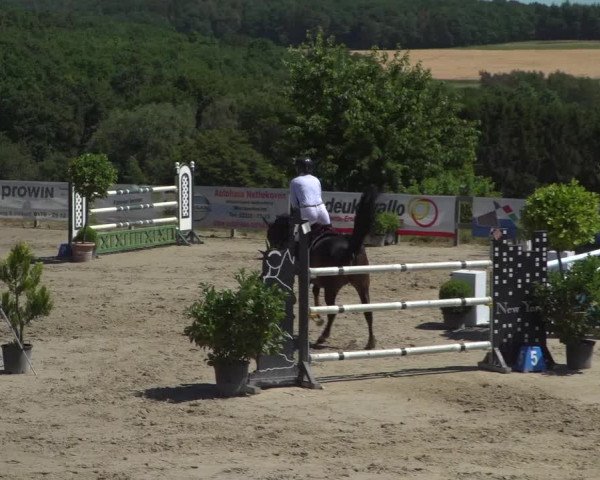 Reitturnier Kalenborn Hegehof 2019