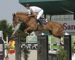 jumper Grunwald de Kalvarie (Belgian Warmblood, 2006, from Action-Breaker)