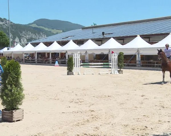Reitturnier Balsthal 2019