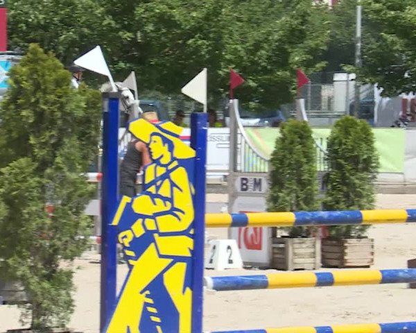 Reitturnier Balsthal 2019