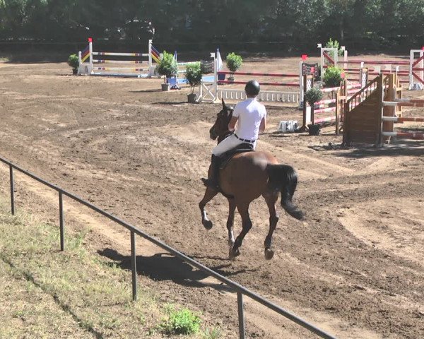 Reitturnier Wiesloch 2019
