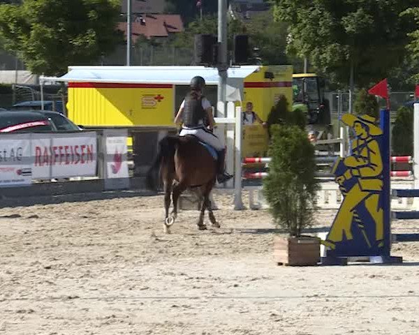 Reitturnier Balsthal 2019