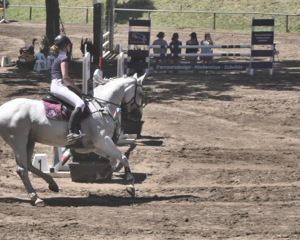 Reitturnier Wiesloch 2019