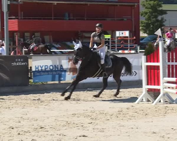 Reitturnier Balsthal 2019