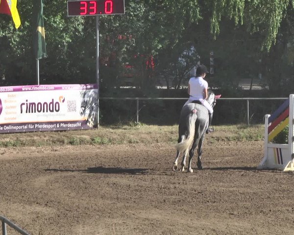 Reitturnier Wiesloch 2019