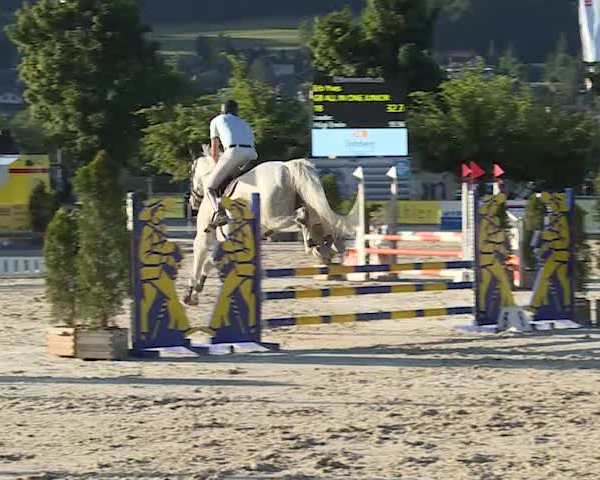 Reitturnier Balsthal 2019