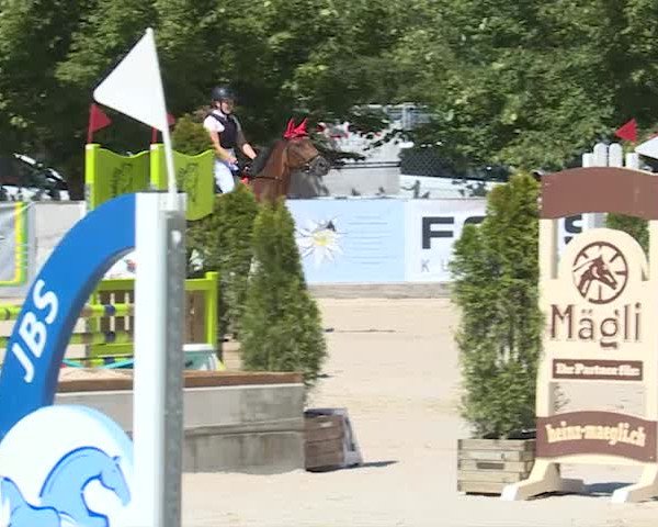 Reitturnier Balsthal 2019