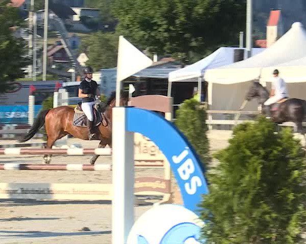 Reitturnier Balsthal 2019