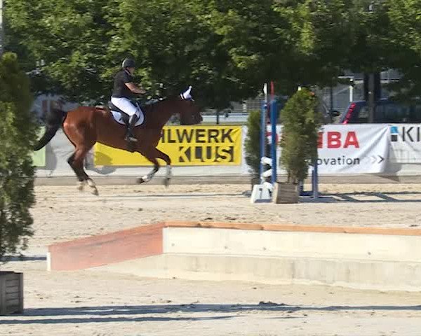 Reitturnier Balsthal 2019