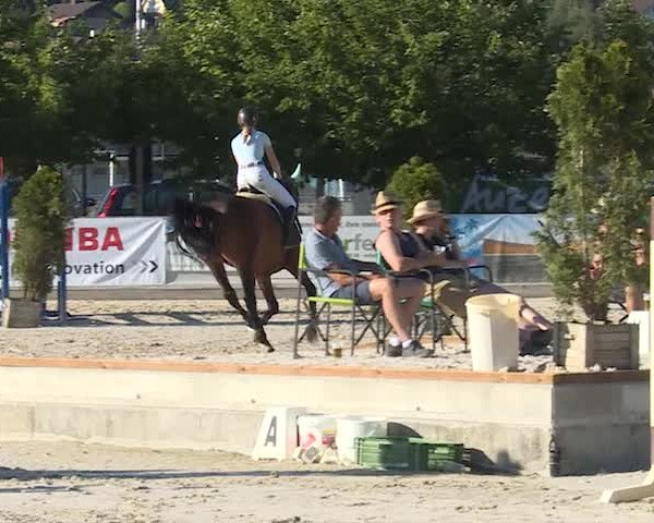 Reitturnier Balsthal 2019