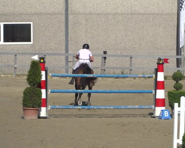 Reitturnier Kalenborn Hegehof 2019