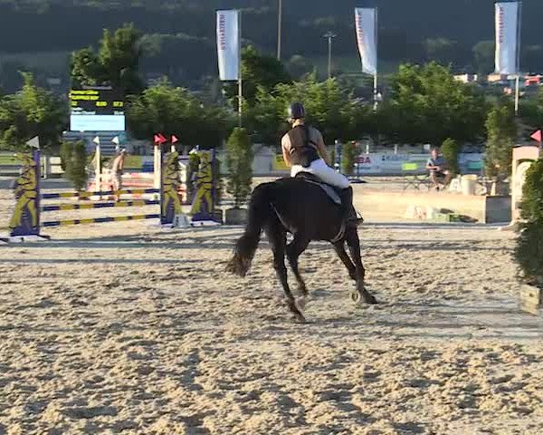 Reitturnier Balsthal 2019