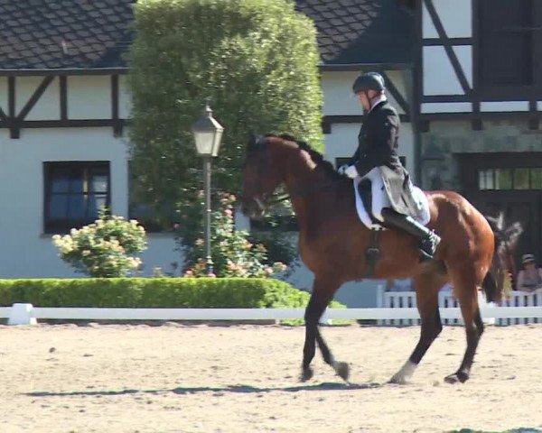 Reitturnier Kronberg /Schafhof 2019