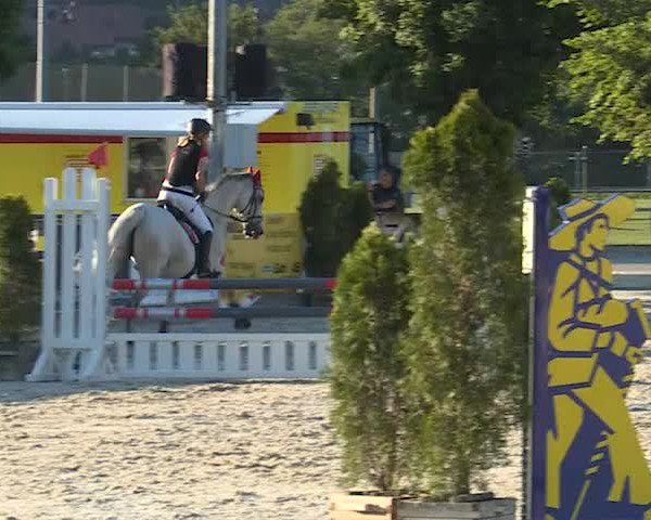 Reitturnier Balsthal 2019