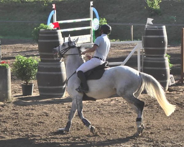 Reitturnier Wiesloch 2019