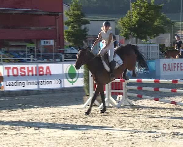 Reitturnier Balsthal 2019