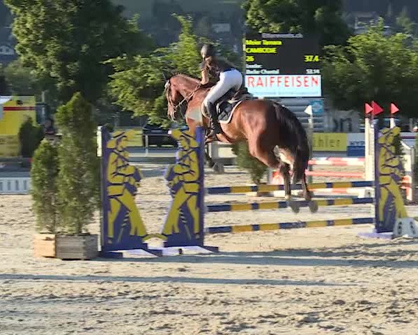 Reitturnier Balsthal 2019