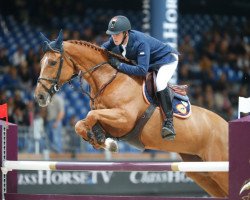 jumper Fleur de Kalvarie (Belgian Warmblood, 2005, from Nabab de Rêve)