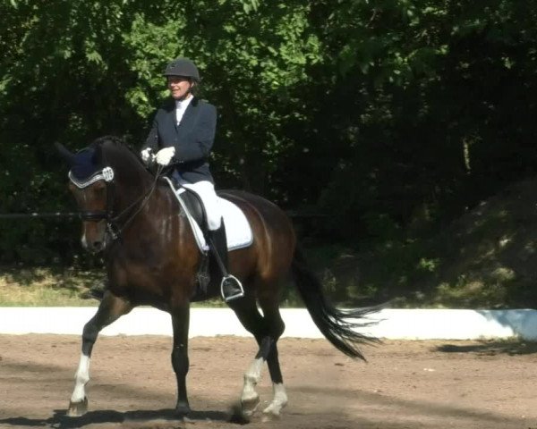 Reitturnier Wiesloch 2019