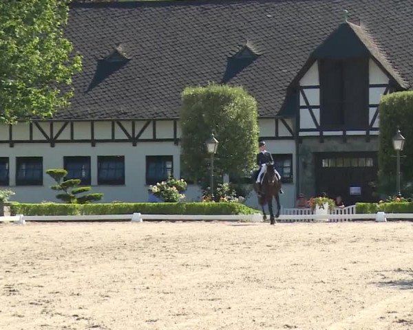 Reitturnier Kronberg /Schafhof 2019