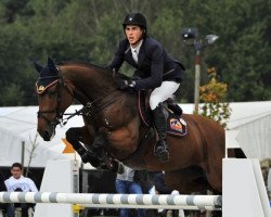 broodmare Carla de Kalvarie Z (Zangersheide riding horse, 2005, from Crown Z)