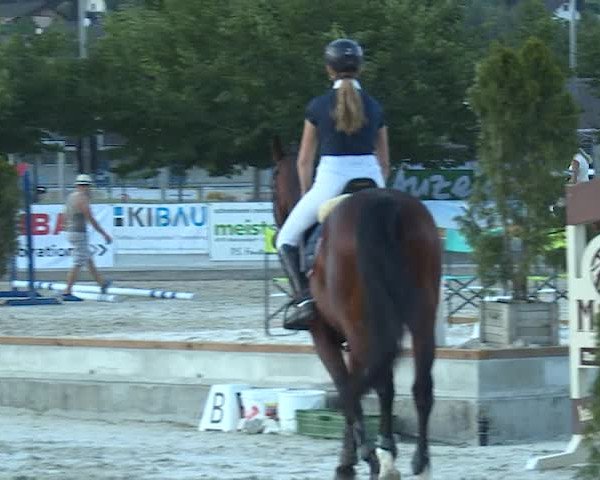 Reitturnier Balsthal 2019