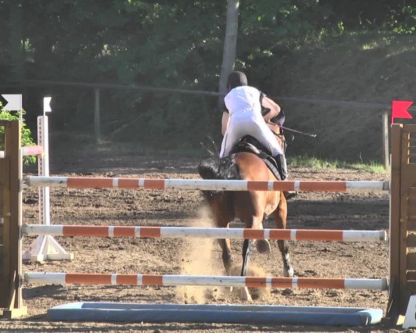Reitturnier Wiesloch 2019