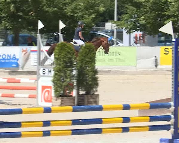 Reitturnier Balsthal 2019