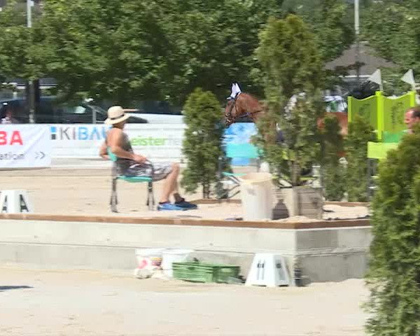 Reitturnier Balsthal 2019