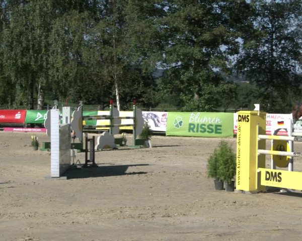Reitturnier Schwerte-Gut Kückshausen 2019