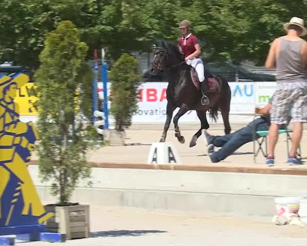 Reitturnier Balsthal 2019